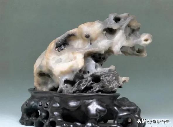 猪朋狗友打一个正确生肖,警惕虚假宣传-全面释义、解释与落实、构建解答解释落实